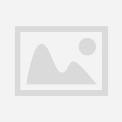 Wall Switch Socket Market Trend from 2026 to 2035